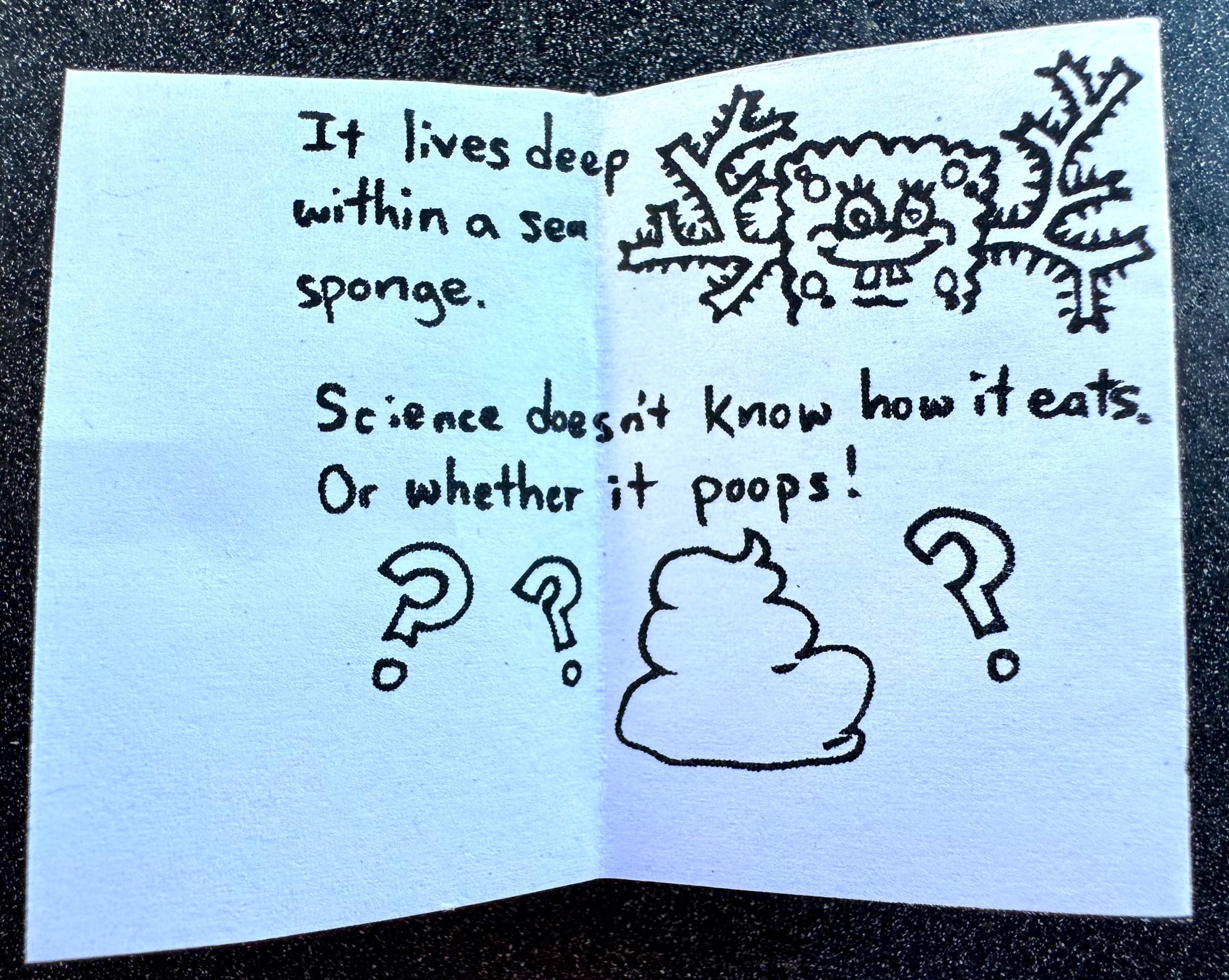 Another page of the zine. It lives deep within a sea sponge. (drawing is of a smiling deep sea sponge - okay it's spongebob - with many worm branches sticking out of where its ears would be, if a sea sponge had ears.) Science doesn't know how it eats. Or whether it poops! (Drawing is of an emoji-style pile of poop surrounded by question marks).