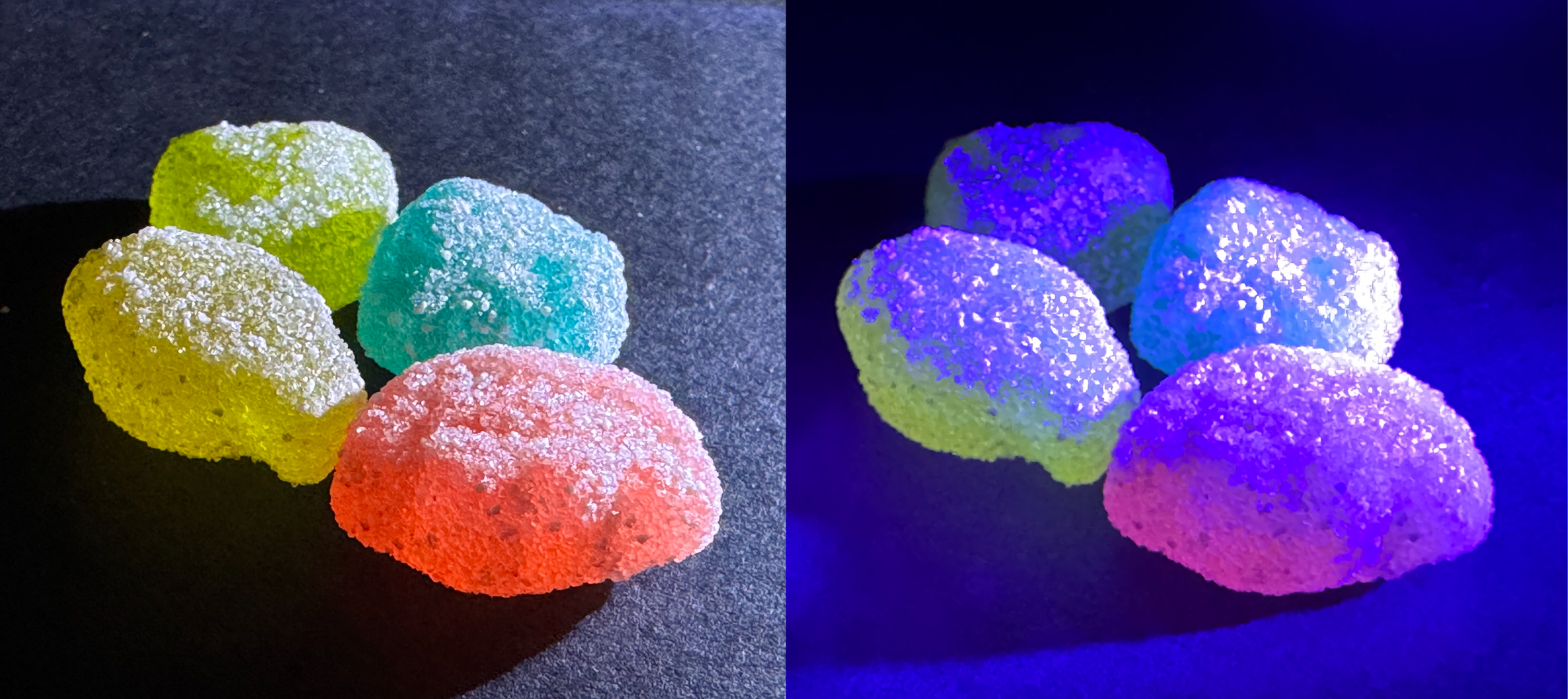 Under white light, the candies are yellow, green, blue-green, and red. Under UV light their sugar coating looks purplish, while the gummies glow from within. The yellow gummy looks a little more green, and the red gummy looks a lot more pink.