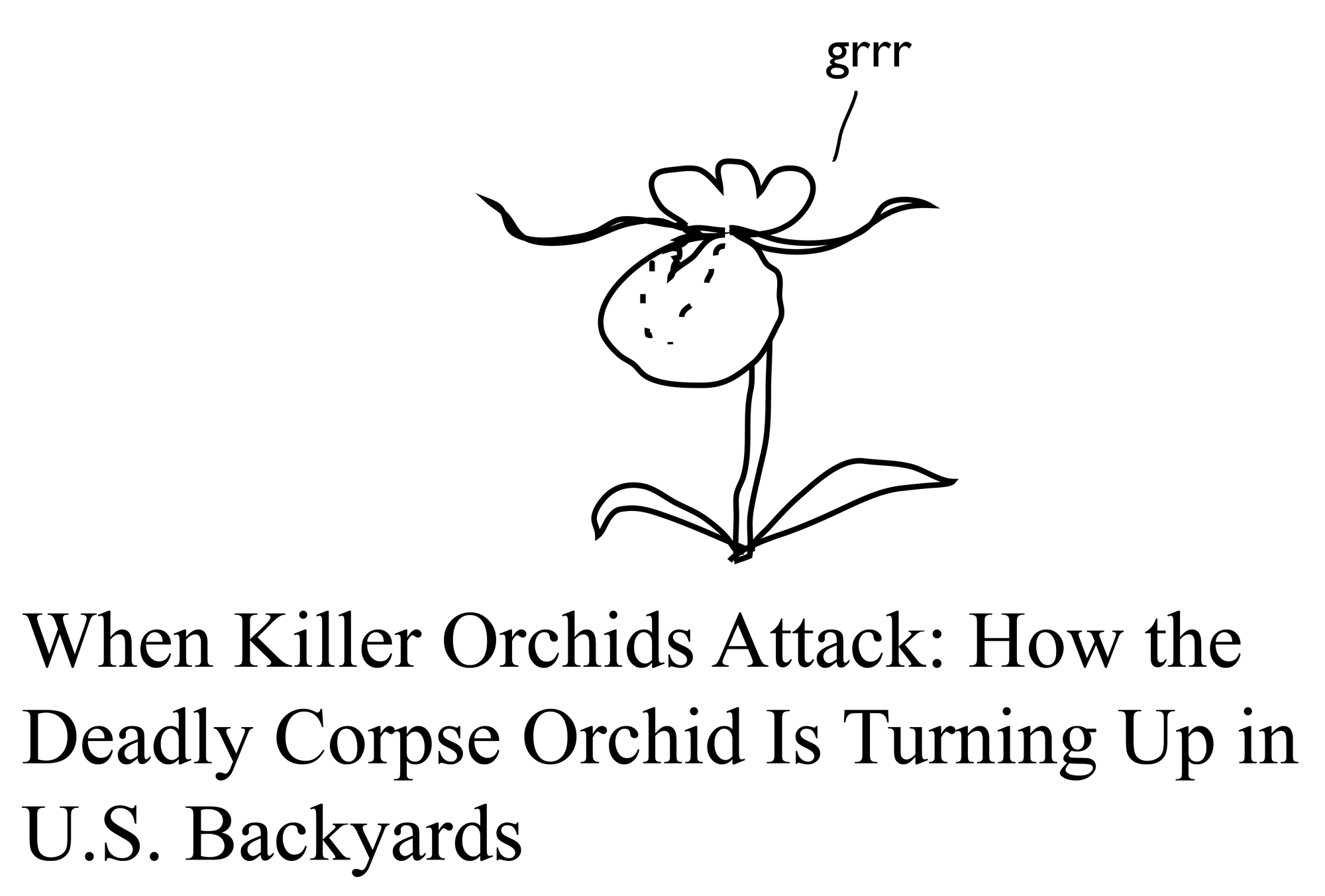 When Killer Orchids Attack: How the Deadly Corpse Orchid Is Turning Up in U.S. Backyards When Killer Orchids Attack: How the Deadly Corpse Orchid Is Turning Up in U.S. Backyards