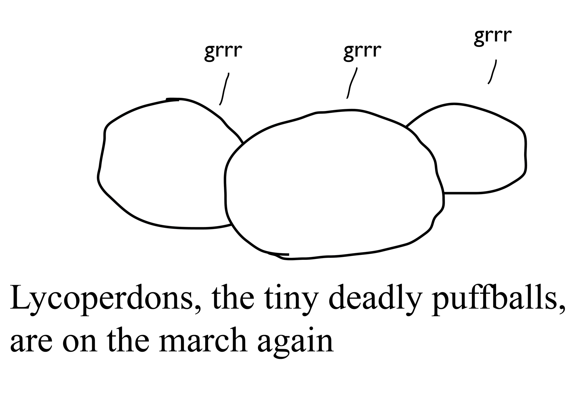 Lycoperdons, the tiny deadly puffballs, are on the march again Lycoperdons, the tiny deadly puffballs, are on the march again