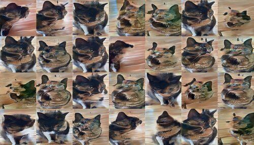 The cats are now starting to distort and disintegrate. They’re barely recognizable. They’re definitely not turning into humans. The cats are now starting to distort and disintegrate. They’re barely recognizable. They’re definitely not turning into humans.