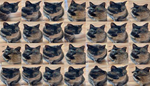 A sequence of generated cats. They’re definitely similar views of the same tortoiseshell cat, but one of them has two pupils in one eye, one of them has a long doglike nose and a blurred body, and some of them look pretty all right actually, although something’s funny about the whiskers. A sequence of generated cats. They’re definitely similar views of the same tortoiseshell cat, but one of them has two pupils in one eye, one of them has a long doglike nose and a blurred body, and some of them look pretty all right actually, although something’s funny about the whiskers.