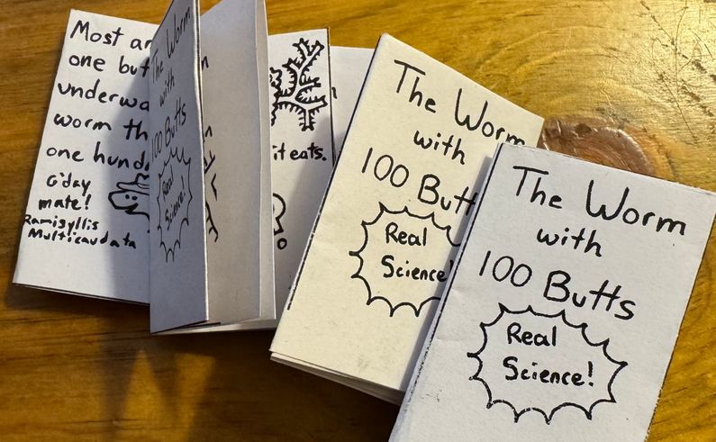 A loose pile of 4 tiny paper booklets, titled "The worm with 100 Butts".