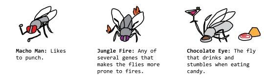 Nothing to worry about, just mutant fruit flies invented by a neural network