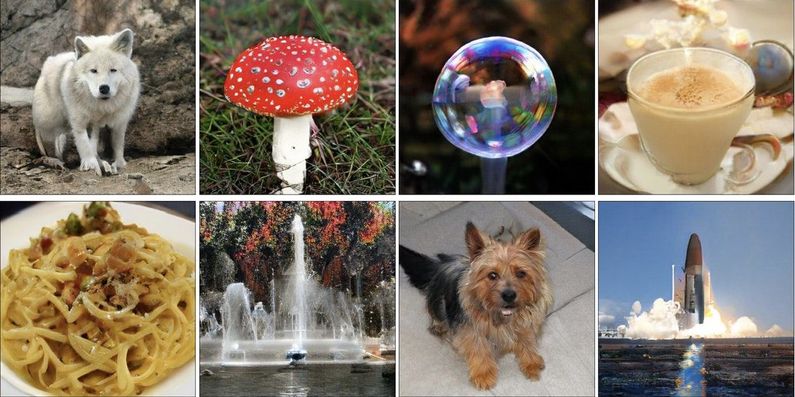 Imaginary worlds dreamed by BigGAN