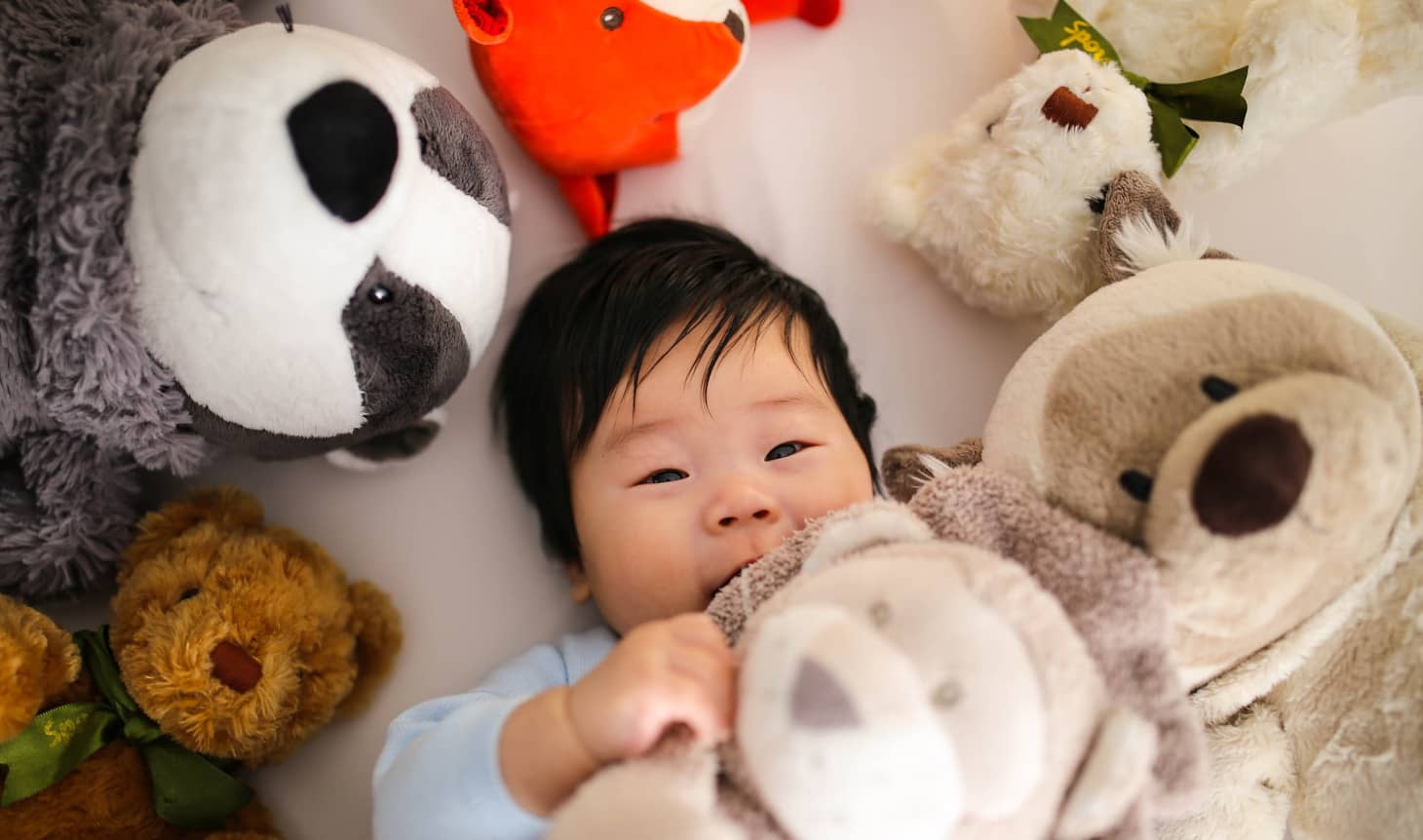 bebé rodeado de muñecos de peluche