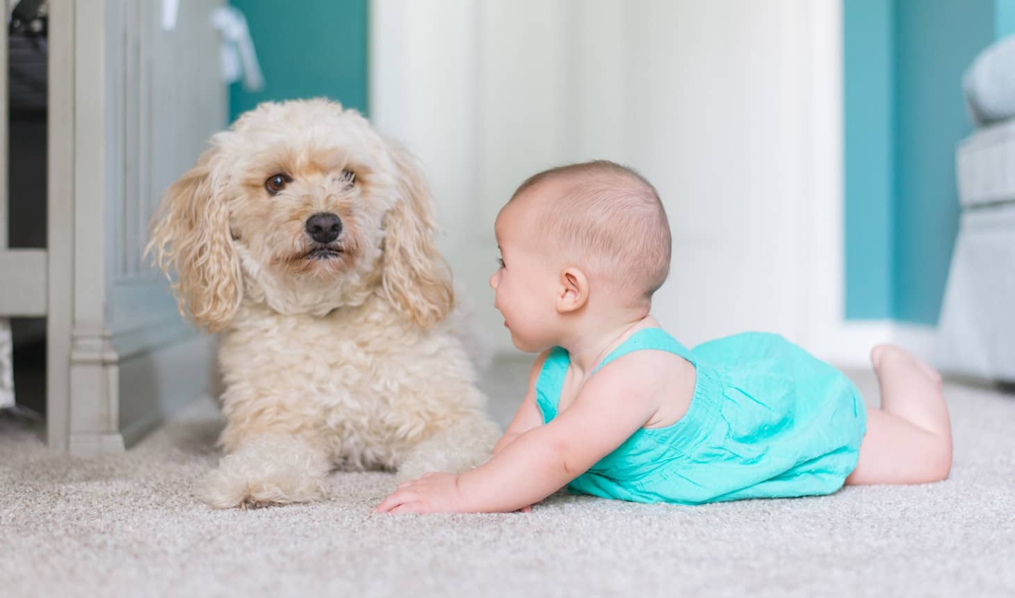 recién nacido al lado del perrito de la casa