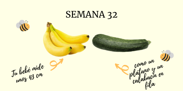 32 semanas de embarazo