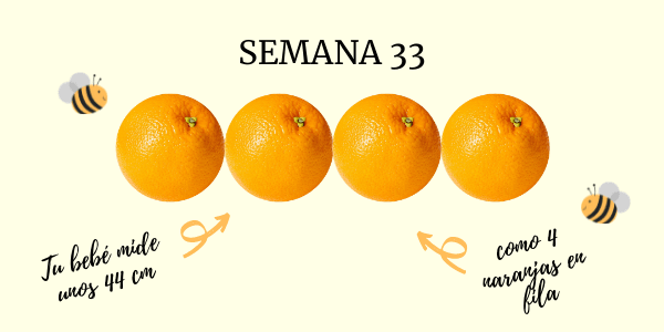 33 semanas de embarazo