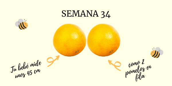 34 semanas embarazo