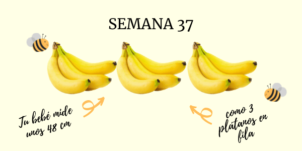 37 semanas de embarazo