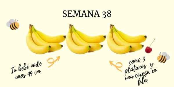 38 semanas de embarazo