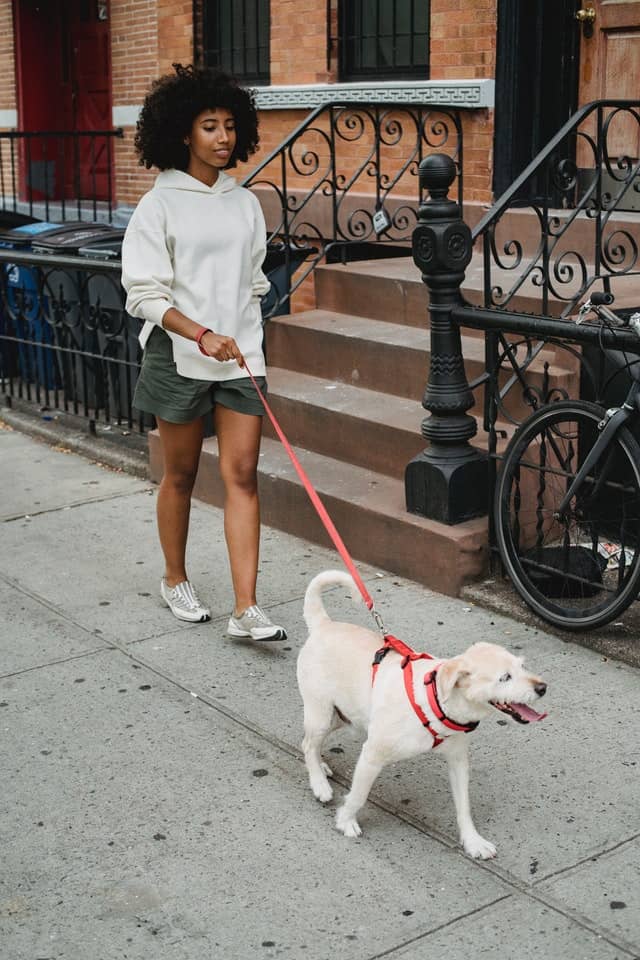 mujer paseando perro
