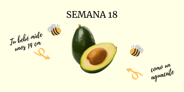 semana 18