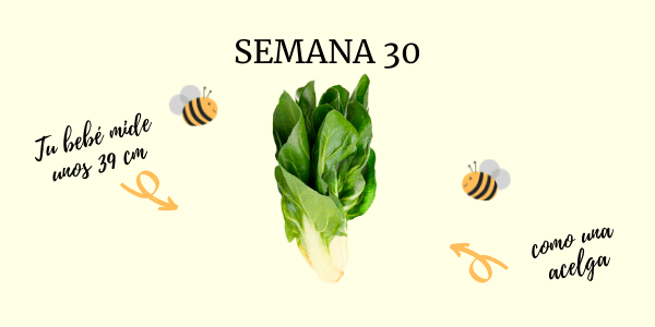 semana 30 embarazo