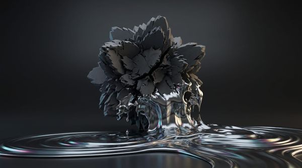 Pine Street goes on-chain