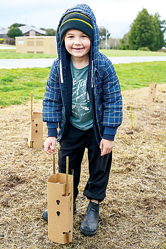 Locals plant trees