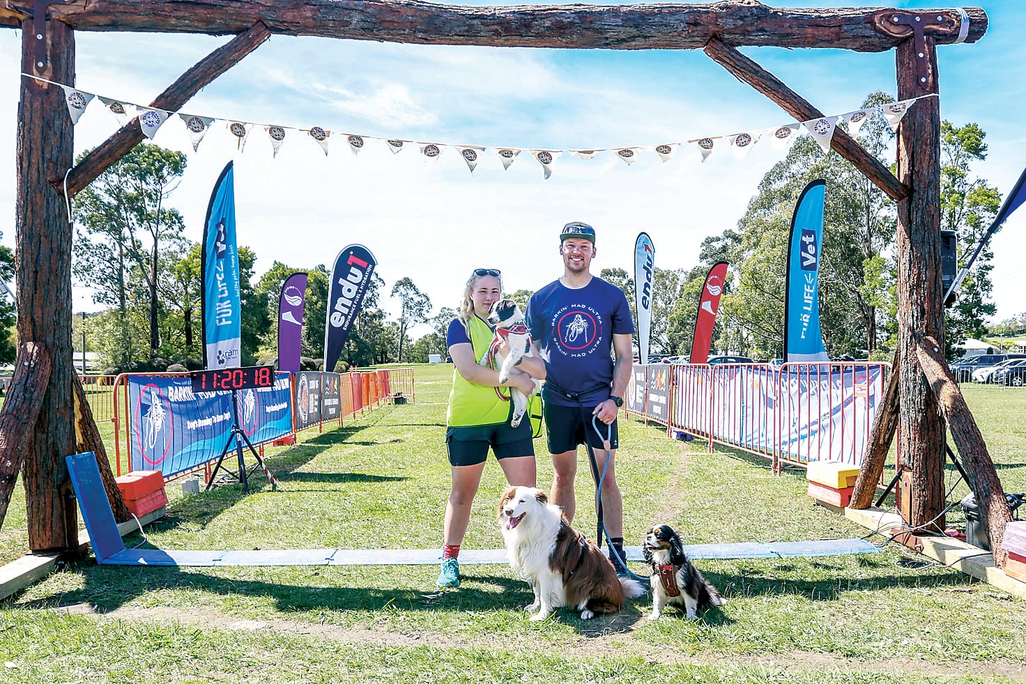Barkin Mad helps 36 dogs in need