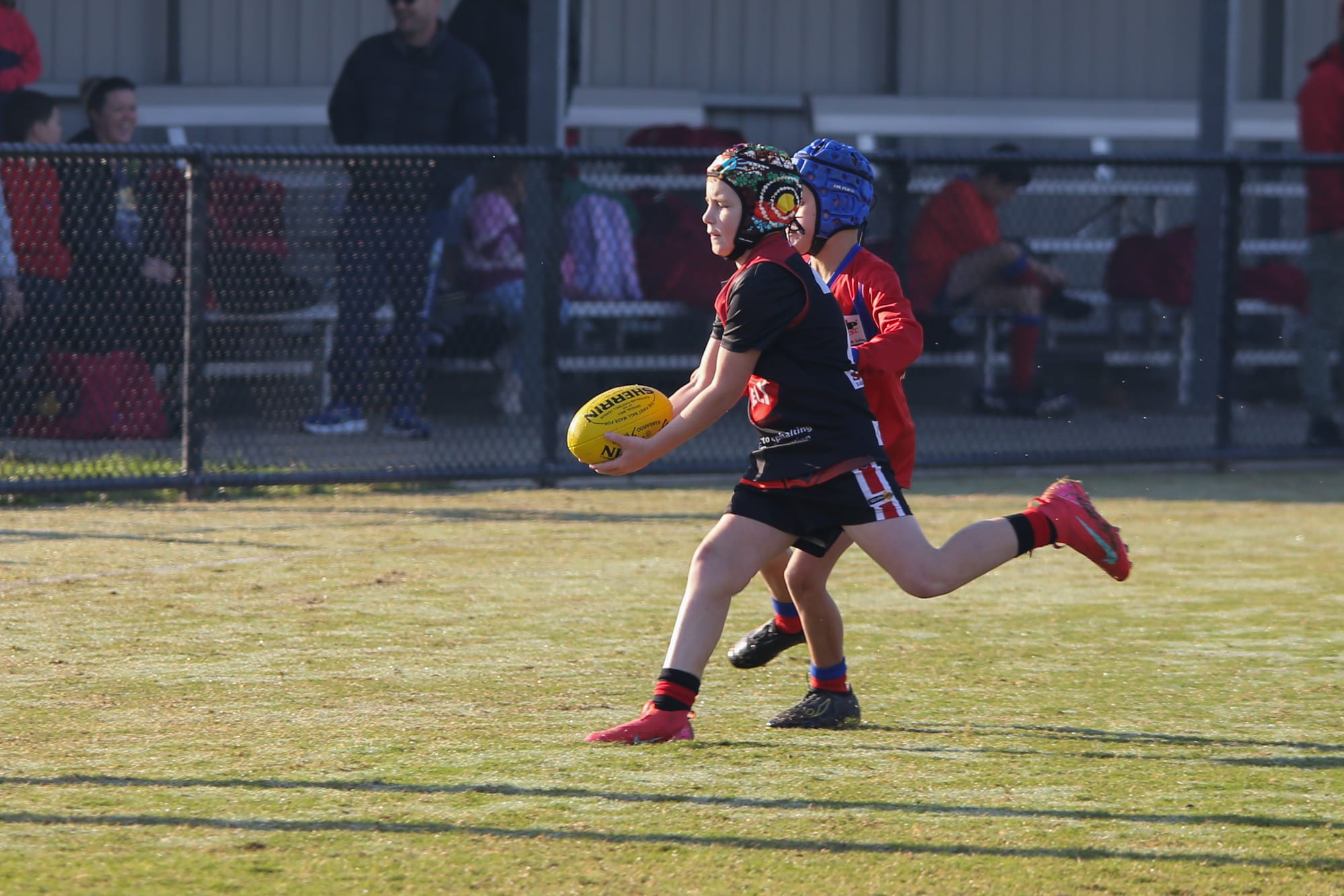 Buln Buln Harry Boyes