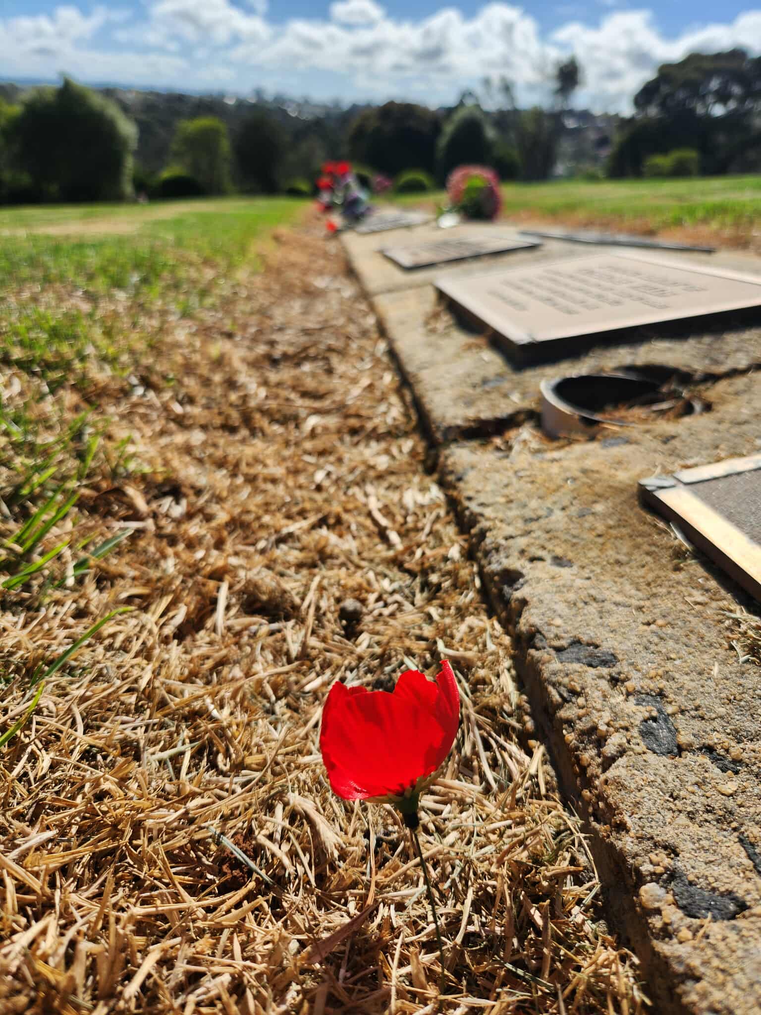 Poppies mark service people