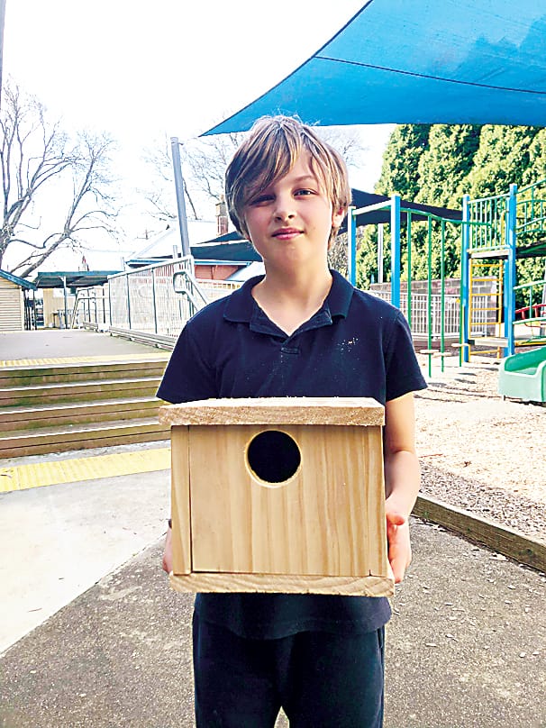 Above: Kelly Rippon-Milner with his bird house.Above right:  Jasmine Olsson proudly displays her bird house.Right: Zayne Oldham, Jack Olsson and Angus Pollock made boot removers in the STEM shed.