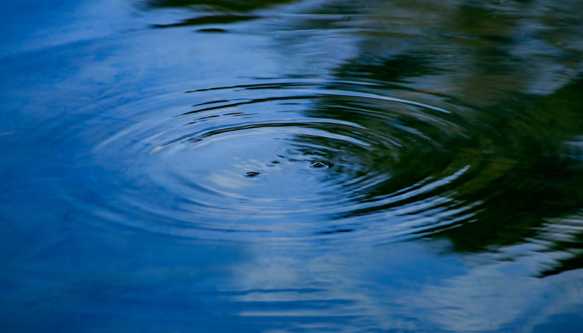 Below average rain recorded