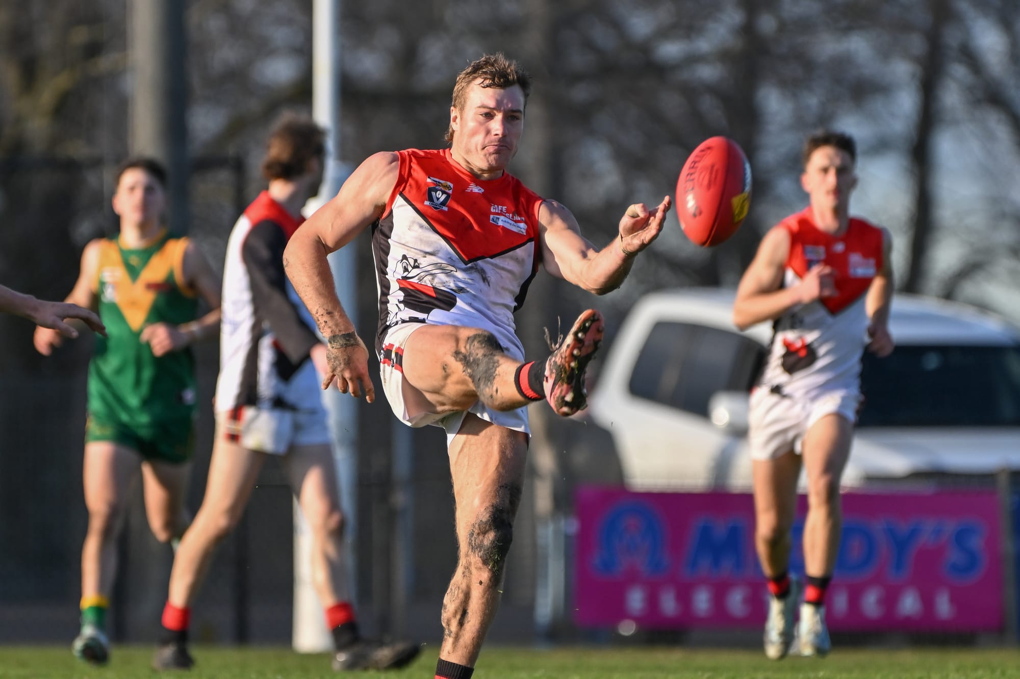 Brave Gulls fall short