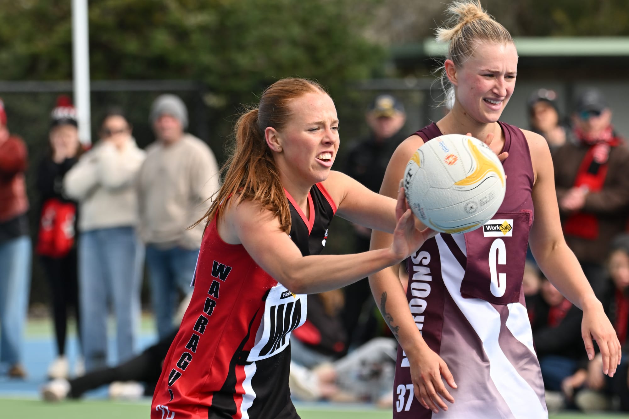 Gulls progress in two grades