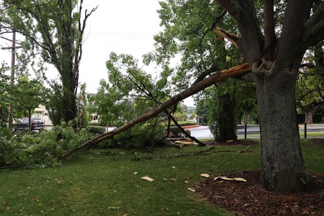 Wide-spread storm toll