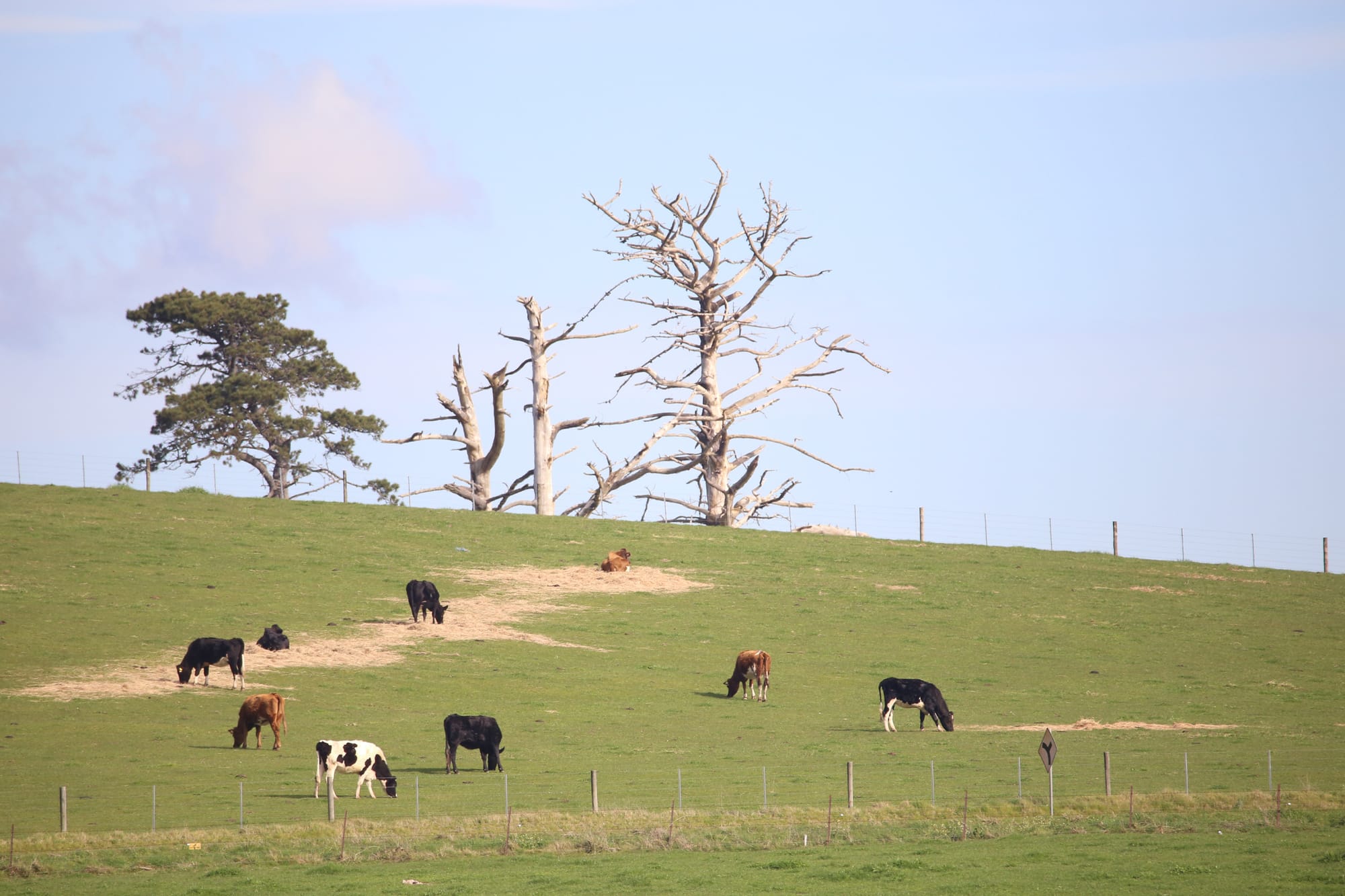 Local farmers eligible for drought support