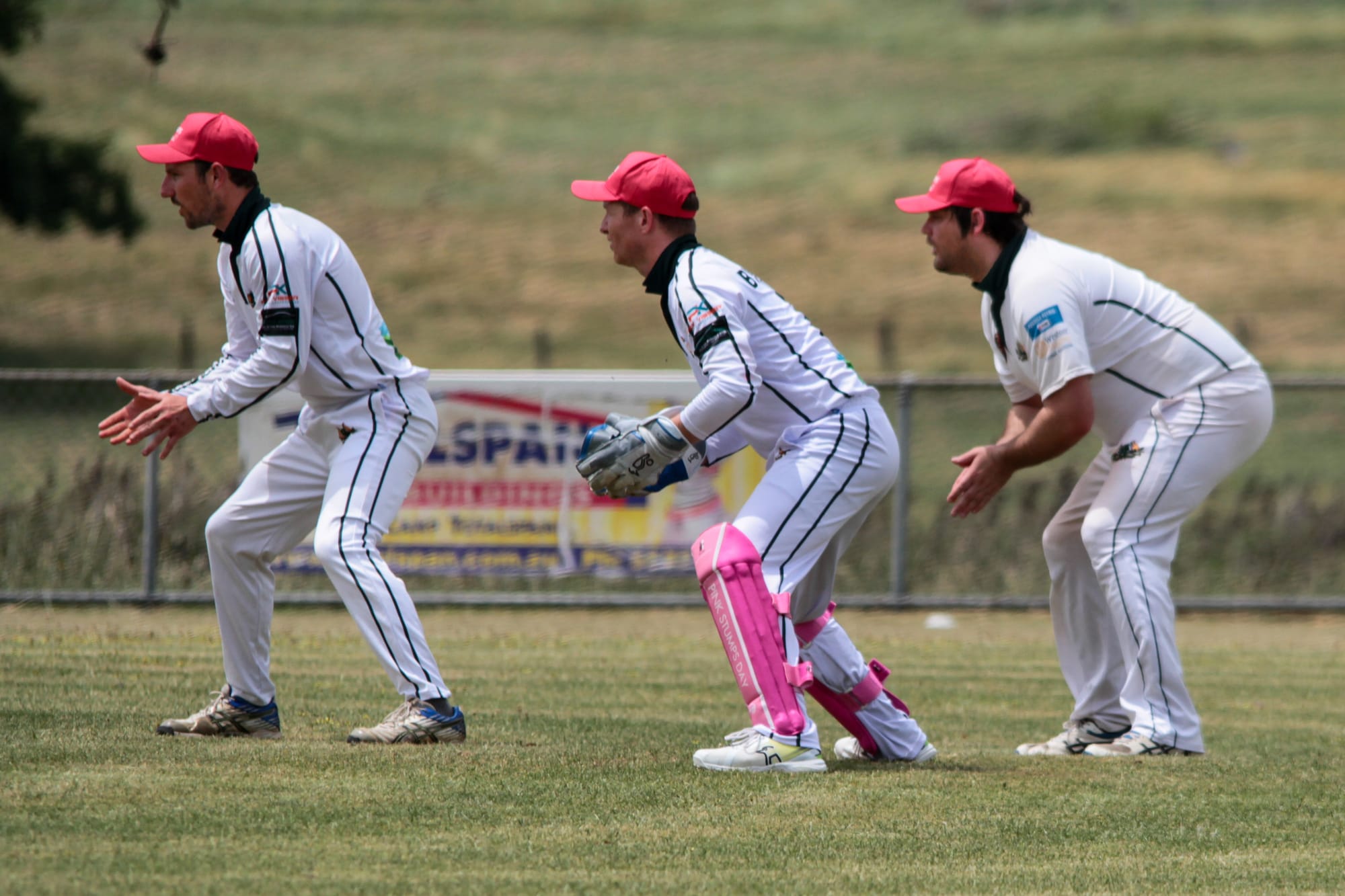 Phillips rips through Cats in div one