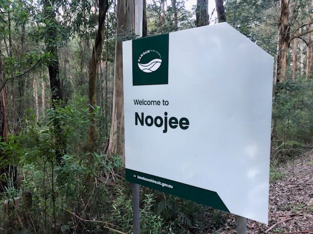 Party celebrates progress towards Noojee's transition