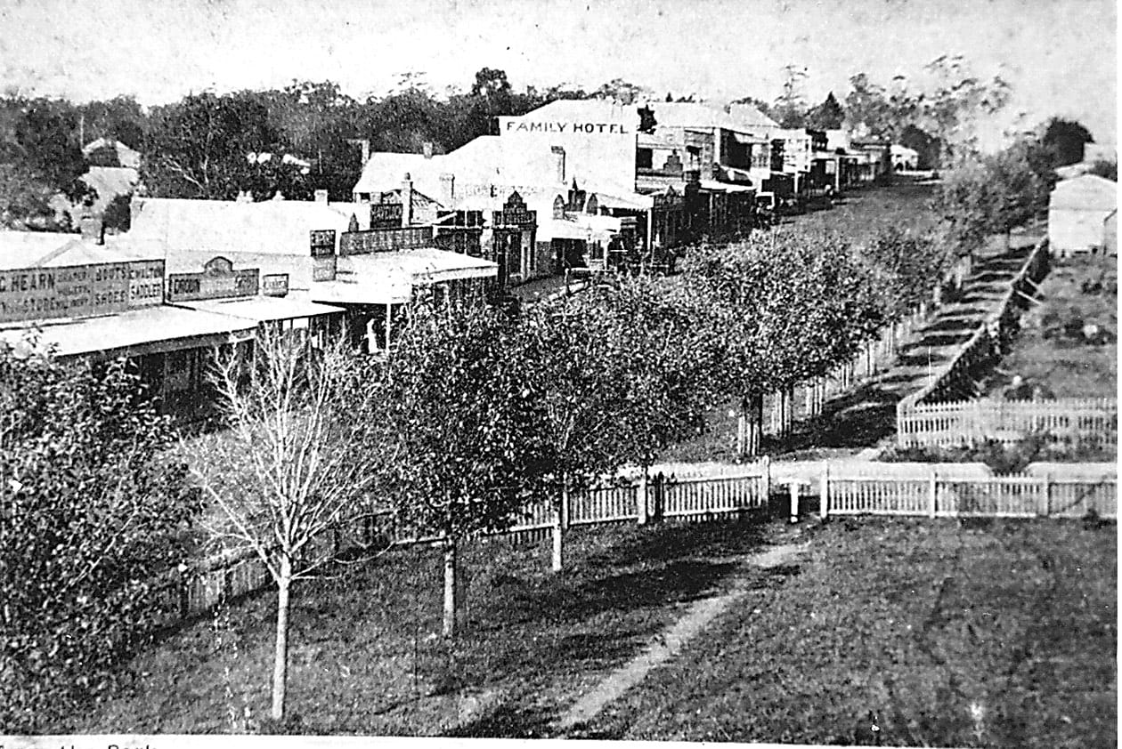 Snapshot of the past - Drouin's Elm Trees