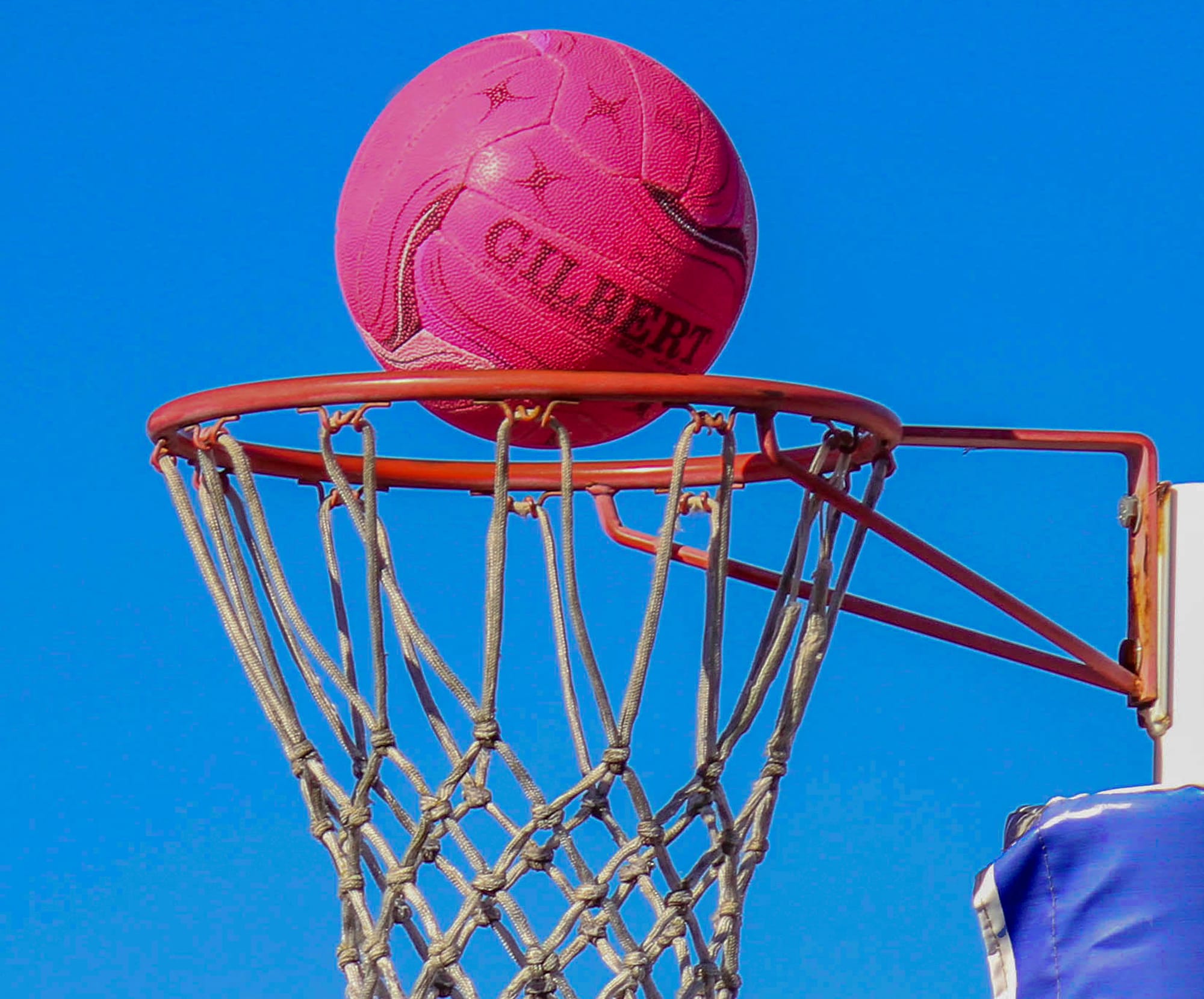 Magpies in a thriller