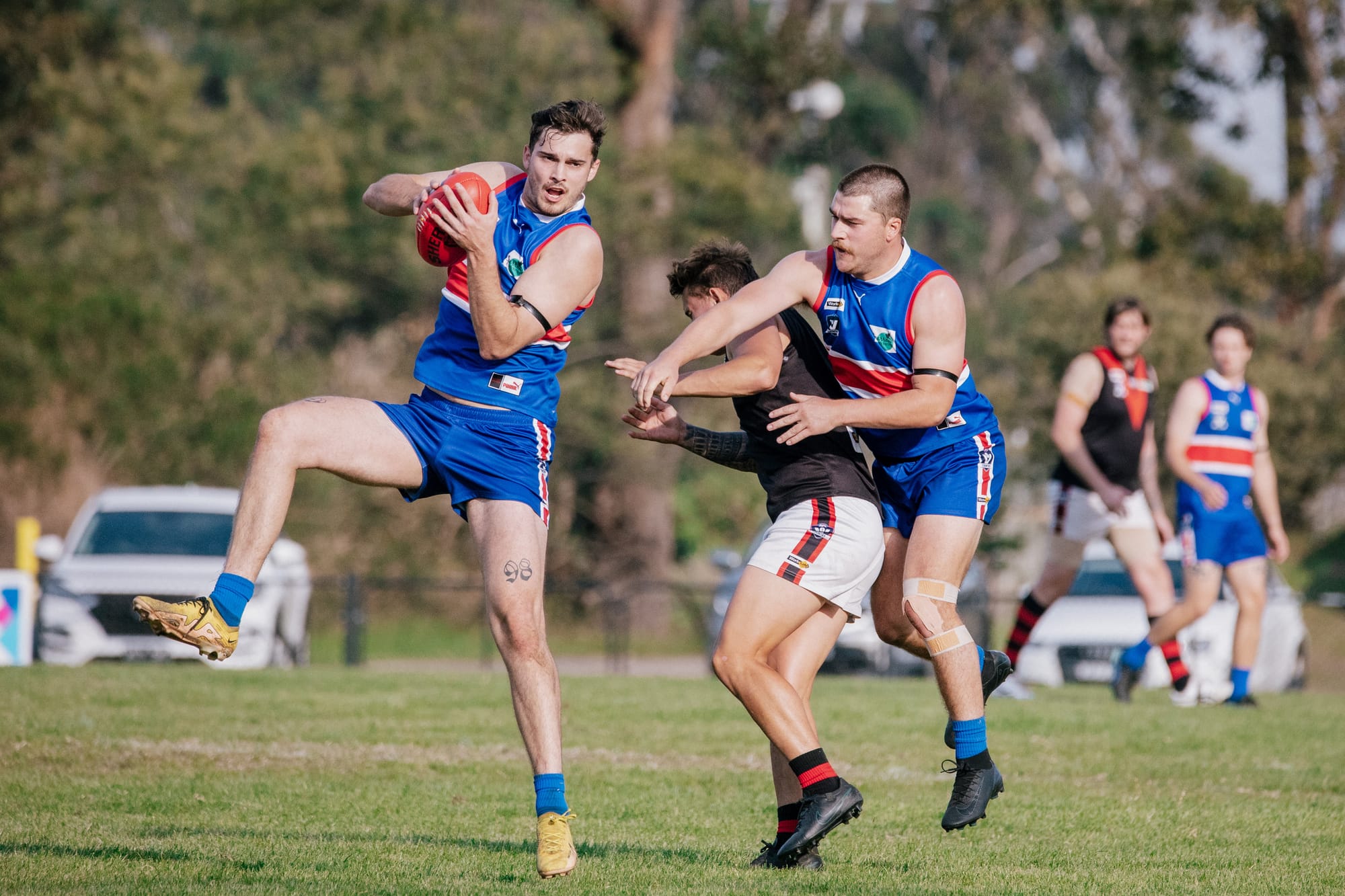 Bloods best Buln Buln