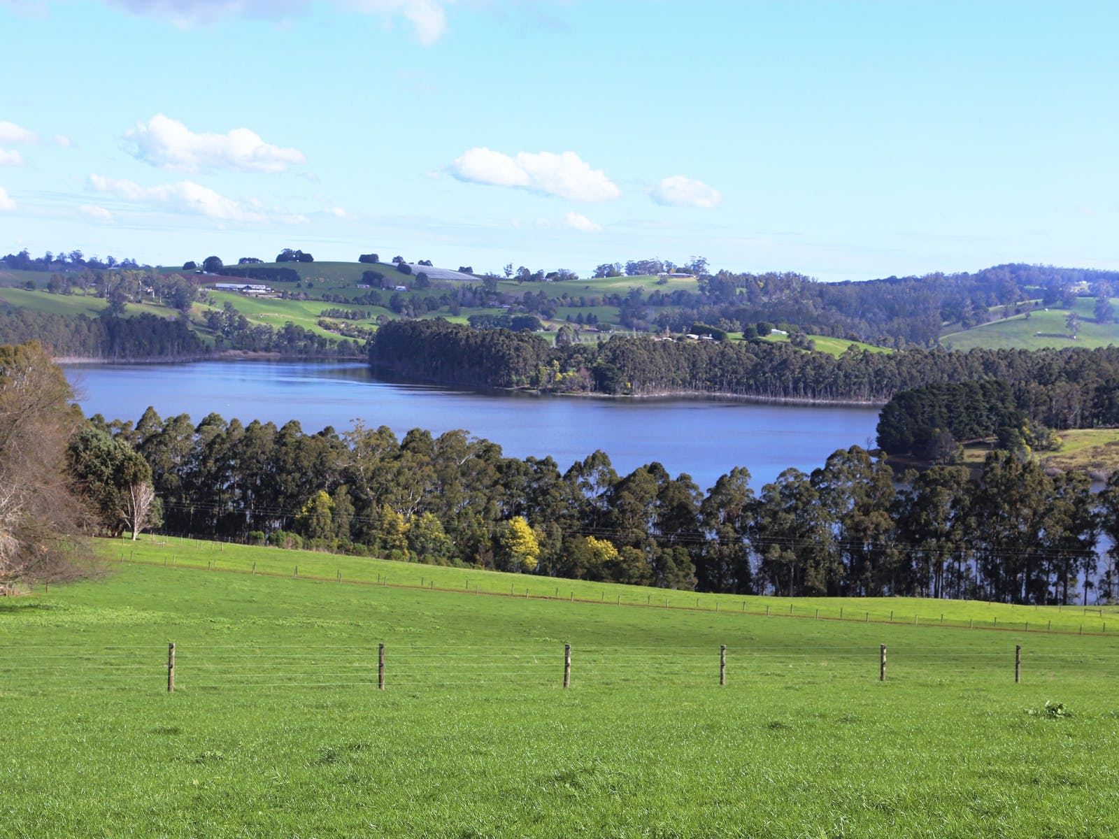 Recreational fishing a step closer at Tarago