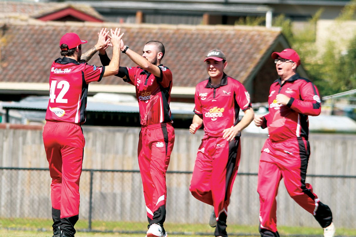 All eyes on cricket
