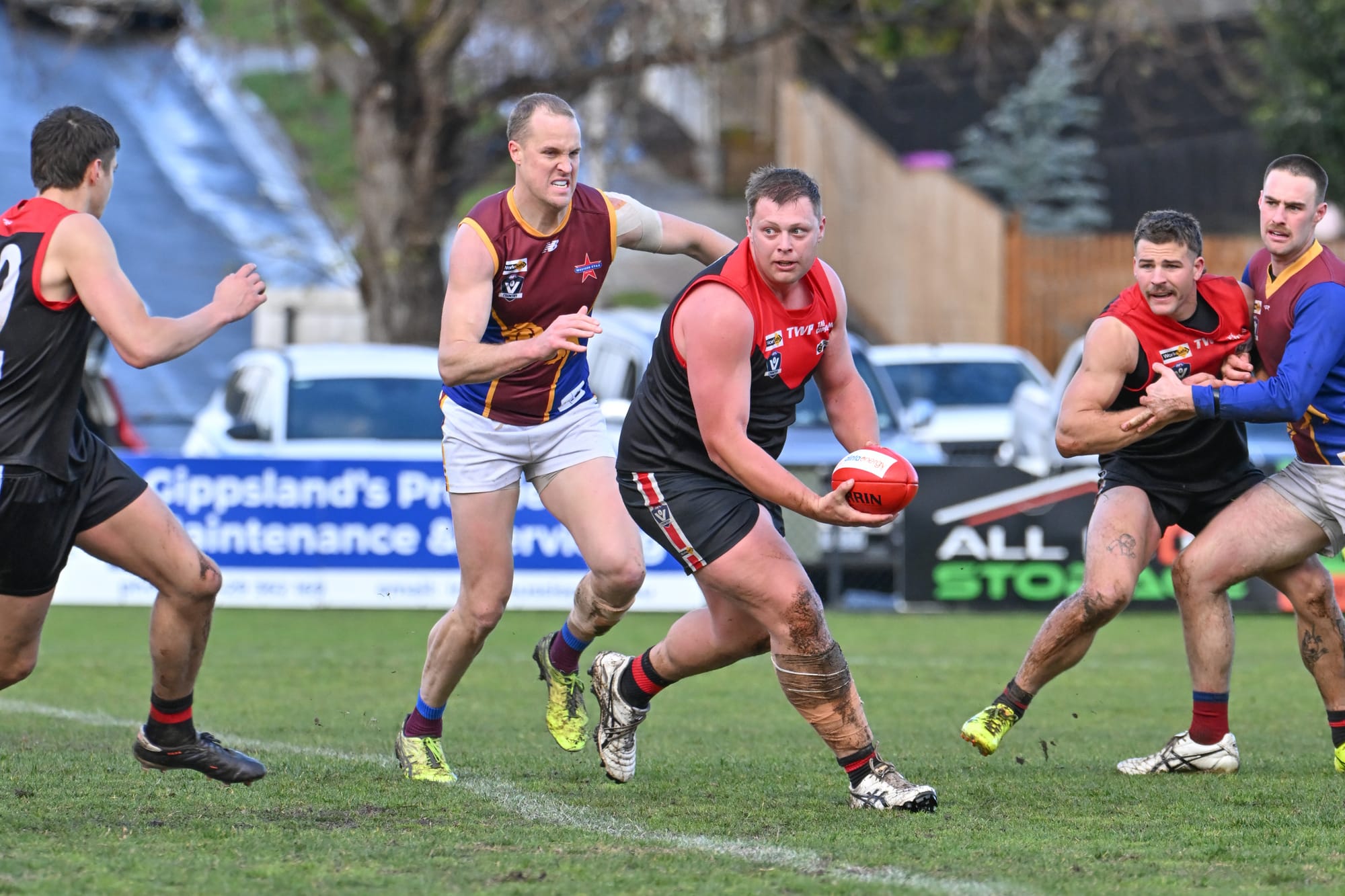 Lions slip past Gulls
