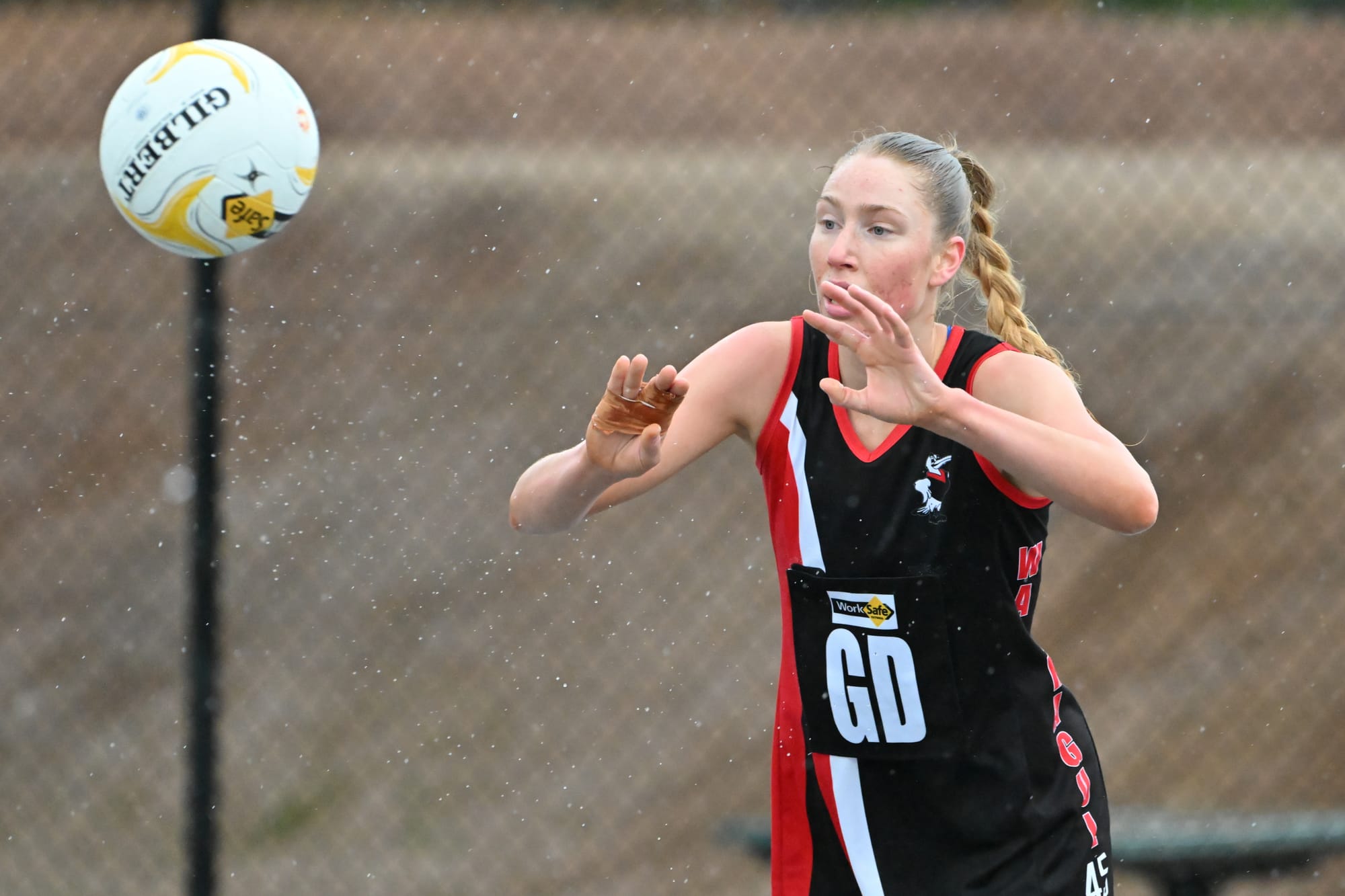 Gulls win into grand final