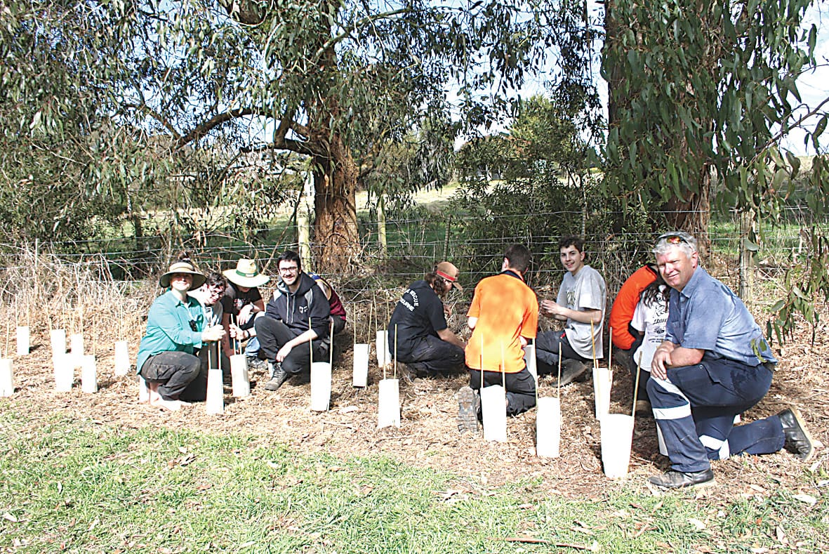 Landcare grants available for environmental projects