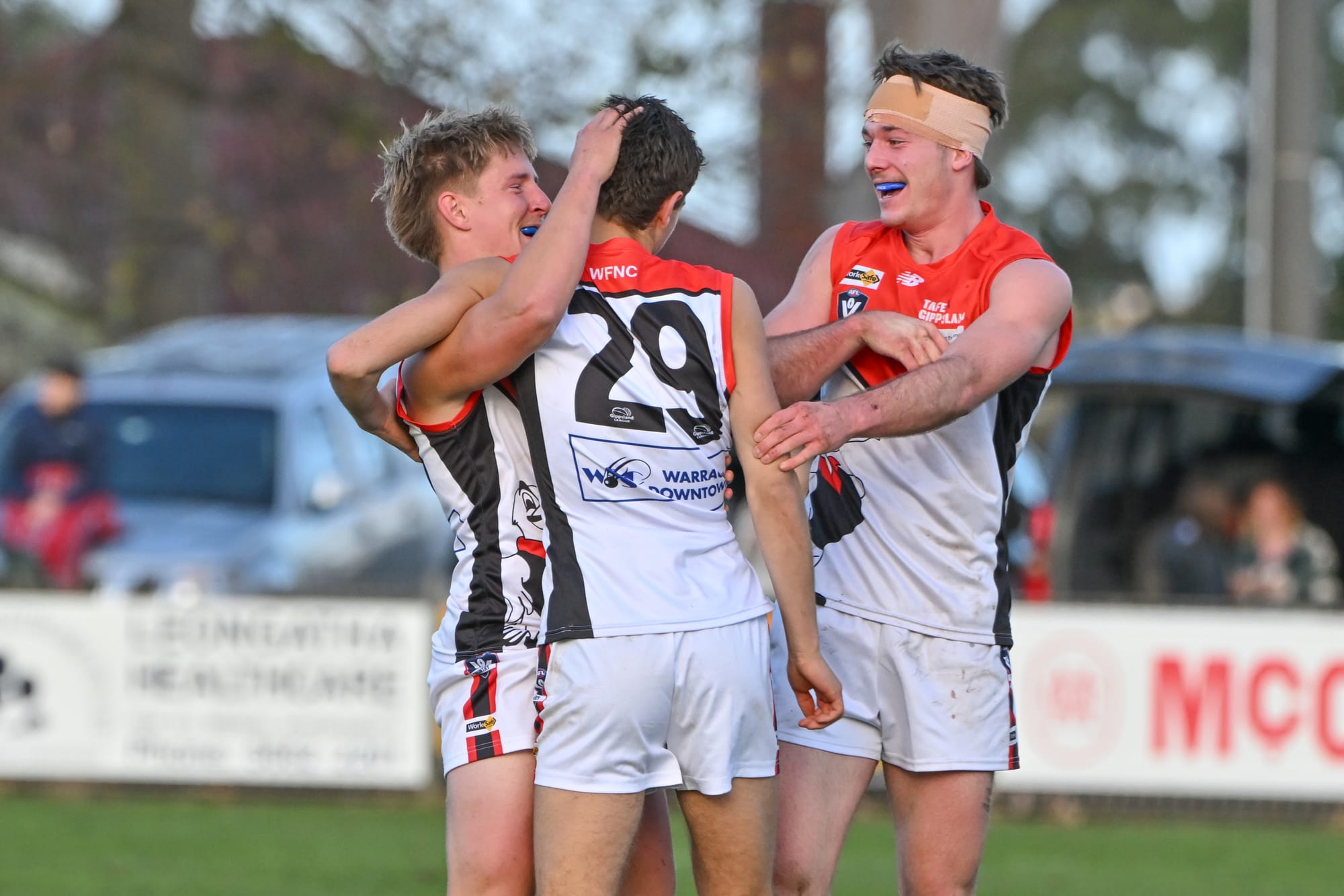 Gulls say hooroo to hoodoo