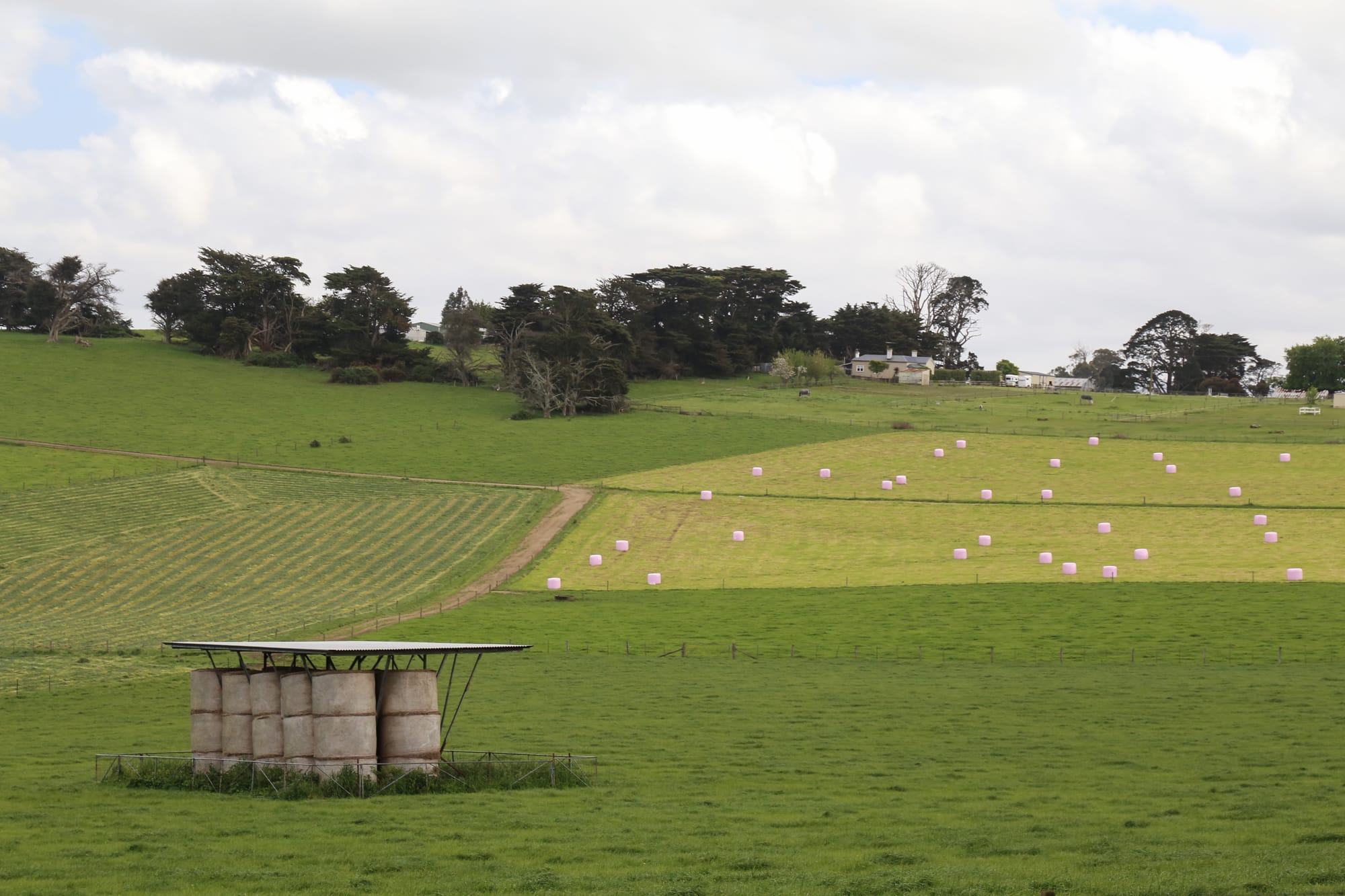 Soil school a new initiative