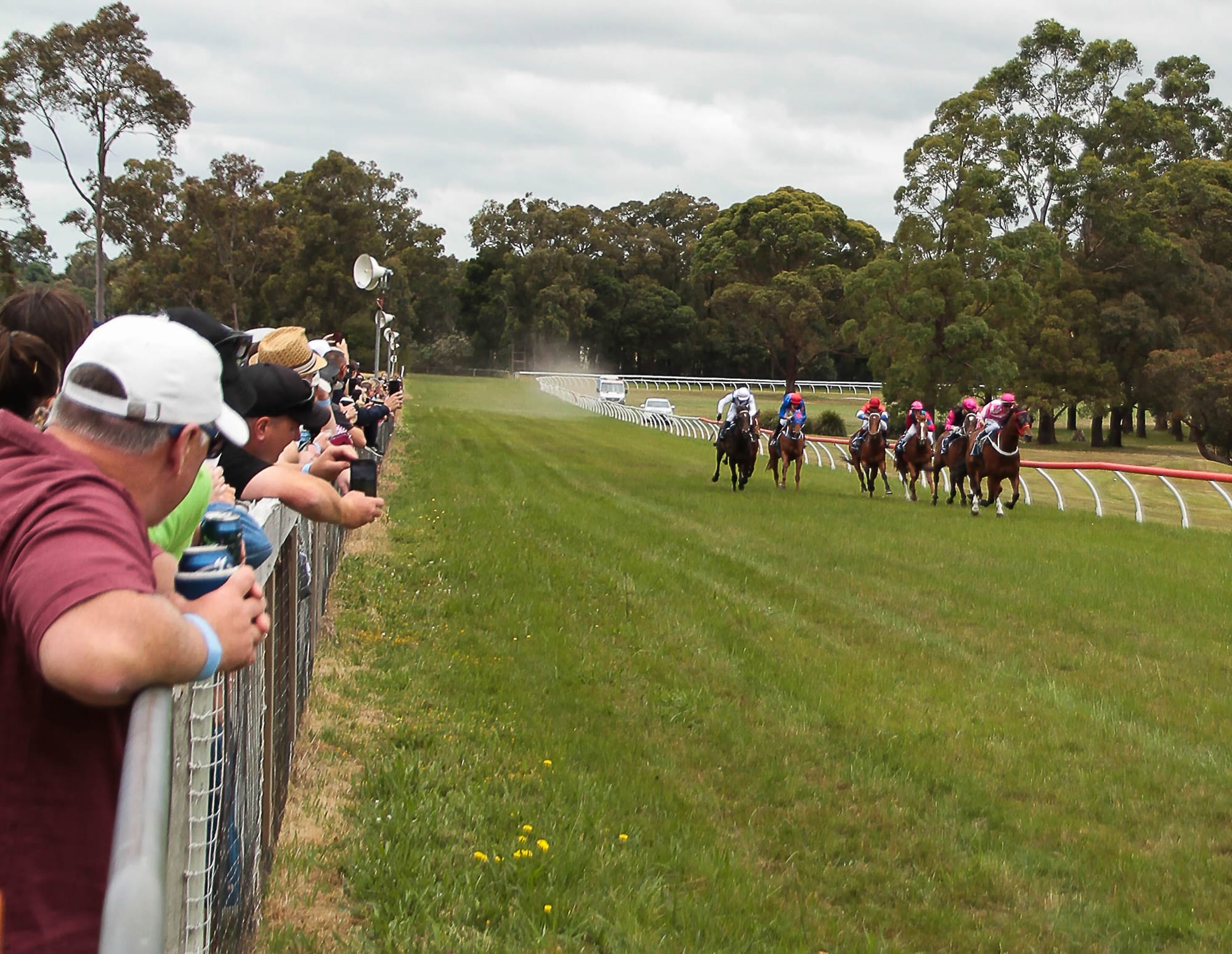 Earlier races at Drouin Picnic Races for Boxing Day heat