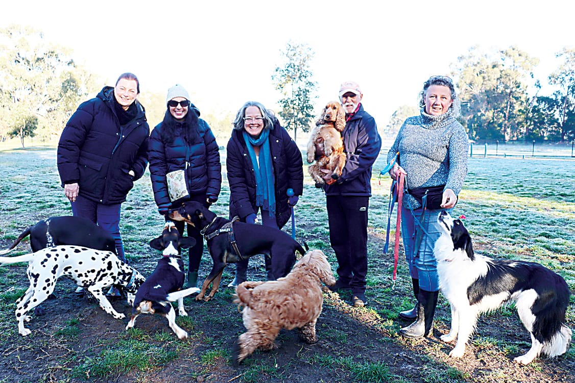 Dog park users advocate for lighting