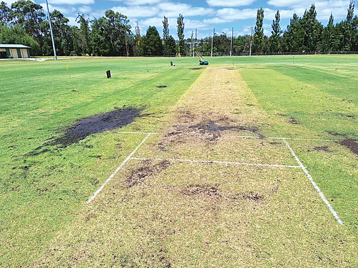 Wasteful vandalism costs ratepayers