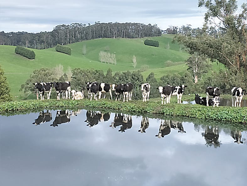 Competition captures essence of "Australian Life"