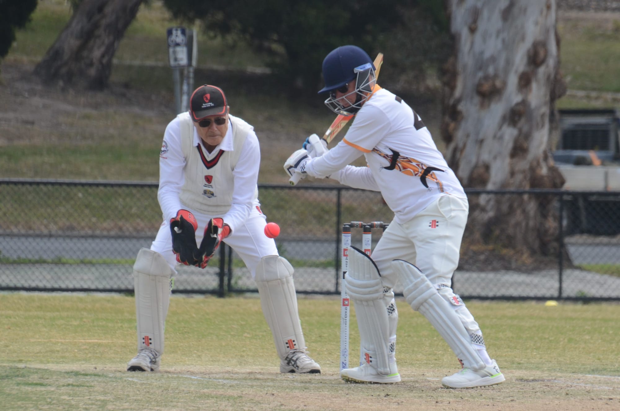 Goannas play out thrilling tie
