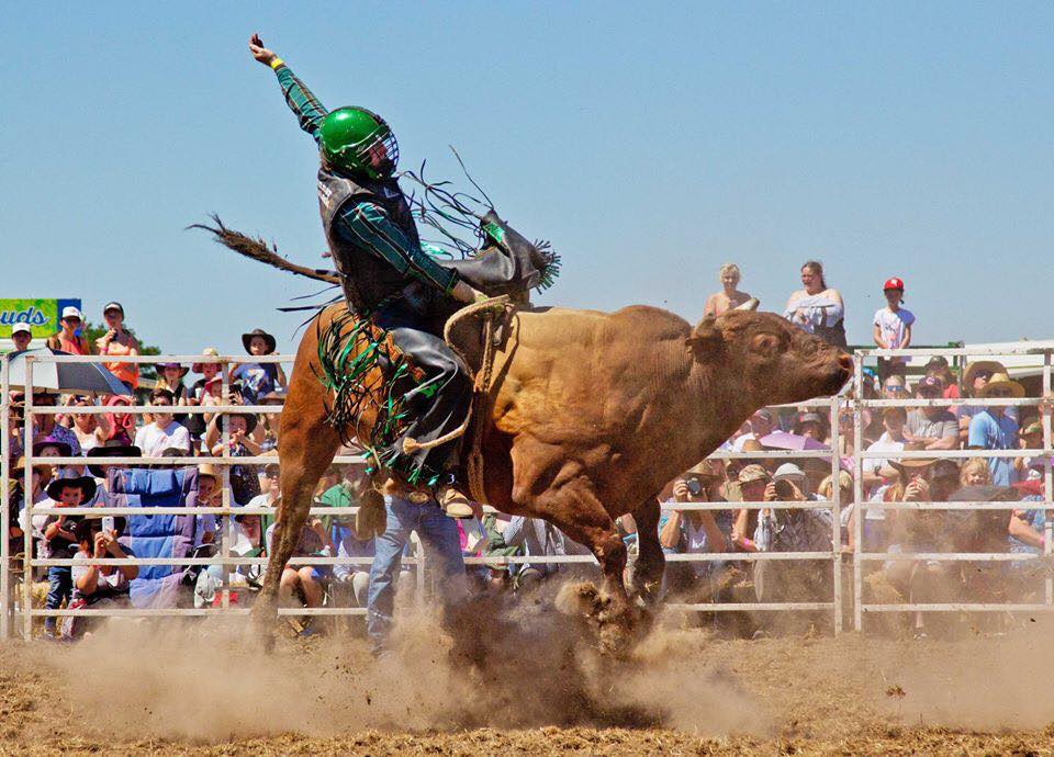 Bunyip Rodeo Returns
