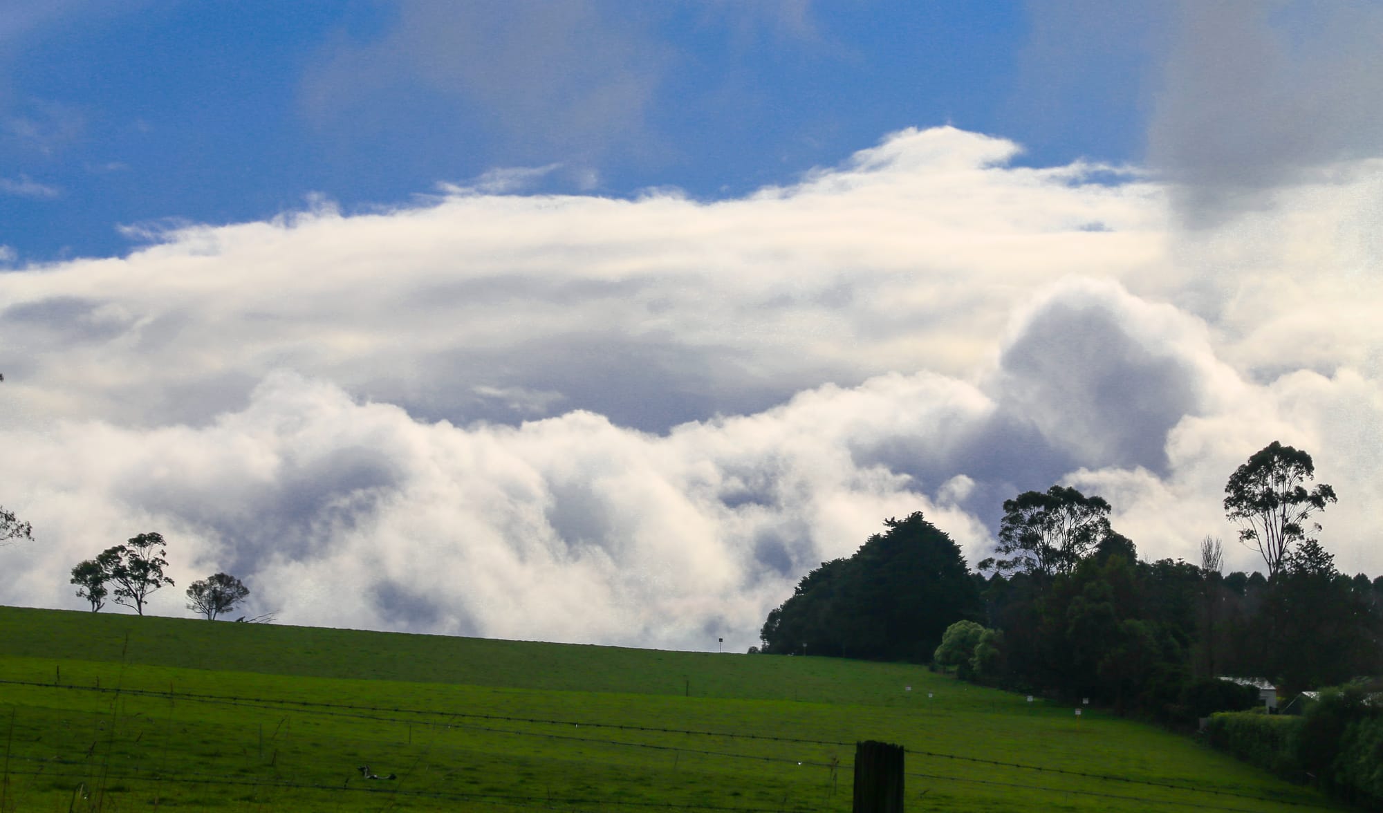 Maintain cover to protect soils
