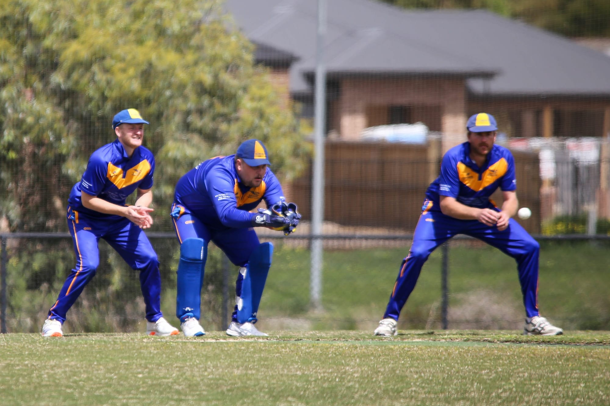 Warragul and District Cricket Association: Division 1 - Ellinbank vs Western Park, October 11, 2025